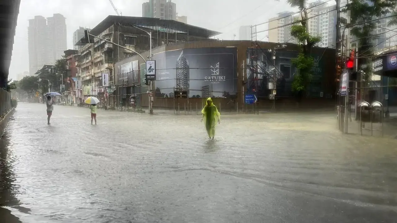 Rainwater pollutants Know about the new trigger for contact dermatitis