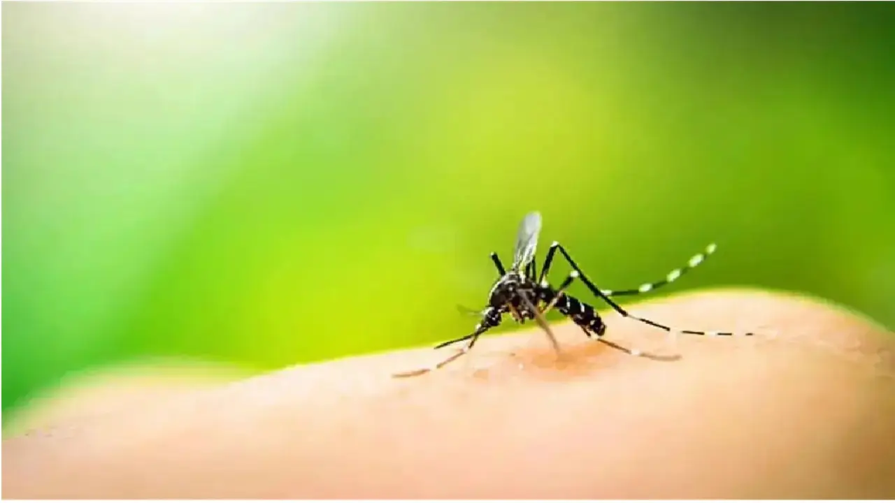 Jharkhand detects nine more cerebral malaria cases, total rises to 150 2 Jharkhand detects nine more cerebral malaria cases total rises to