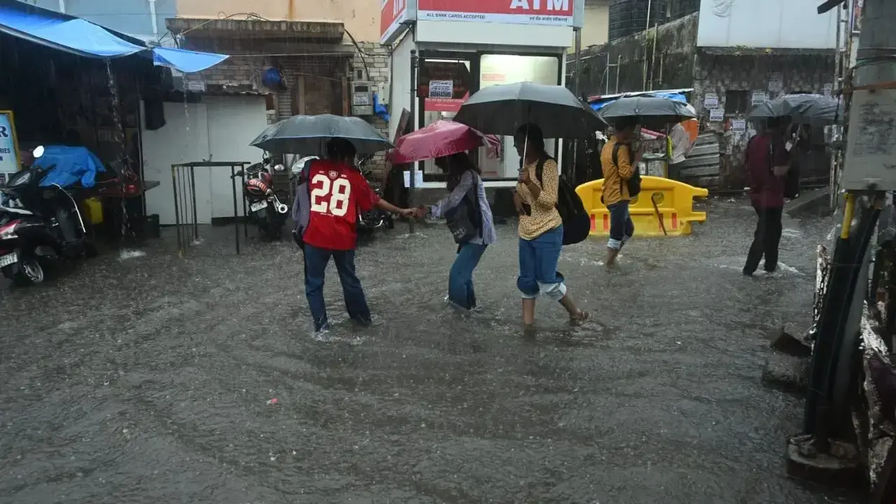 ‘Floodwater may seem harmless but…’: Mumbai doctors warn about leptospirosis 2 ‘Floodwater may seem harmless but… Mumbai doctors warn about leptospirosis