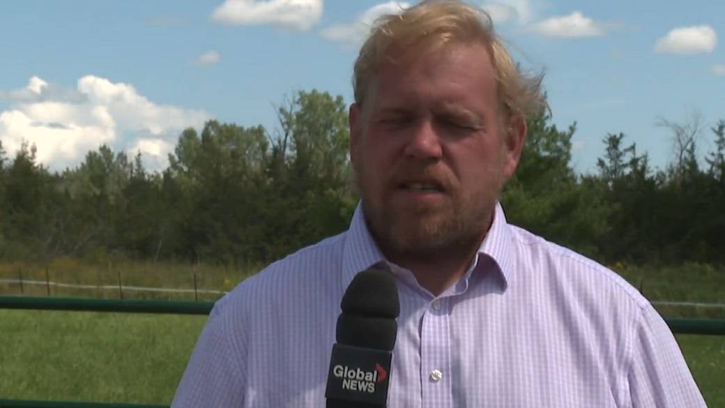 Click to play video: '10 years after final Tragically Hip show, Kingston researchers push for brain cancer breakthroughs'