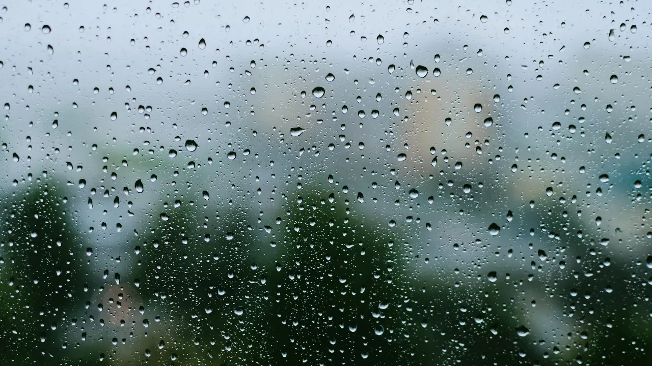 Sound baths and rain Can monsoon acoustics help your brain