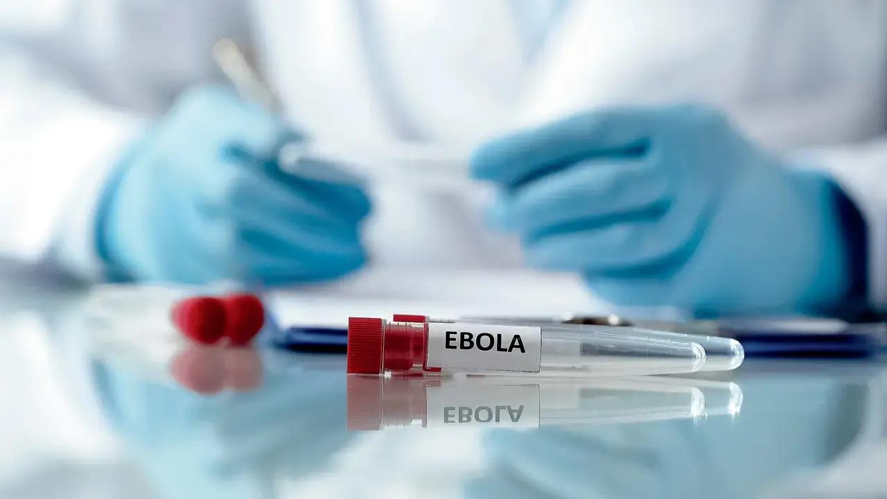 WHO says Congo's Ebola outbreak on track to surpass deadliest one in history 2 WHO says Congoamp039s Ebola outbreak on track to surpass deadliest