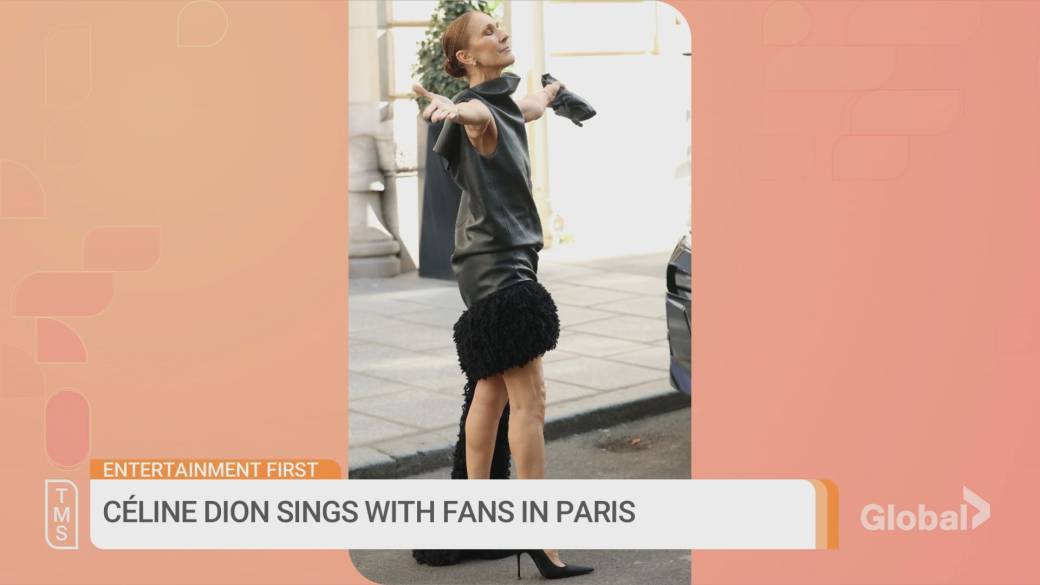 Click to play video: 'Celine Dion surprises fans with a song on the streets of Paris'